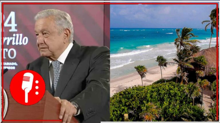 AMLO destacó las medidas e implementaciones que ha realizado el gobierno de la 4T en defensa del medio ambiente (VIDEO)