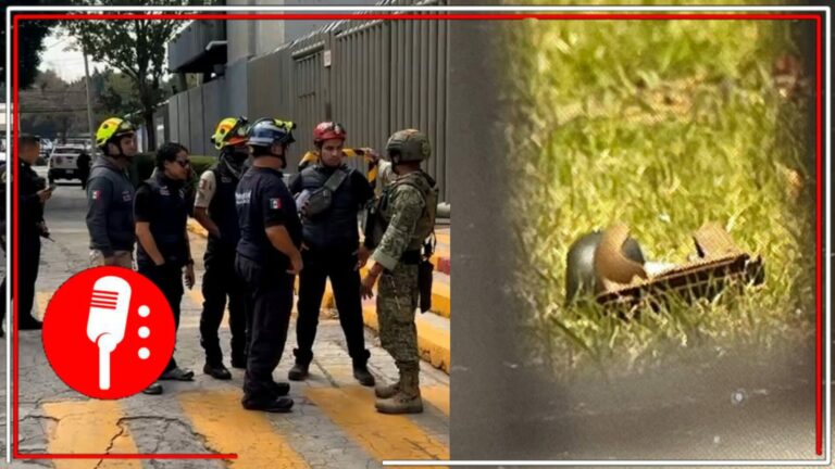 Elementos de la sedena: @Infopolitano; artefacto explosivo: Ramón Ramírez/ Milenio.