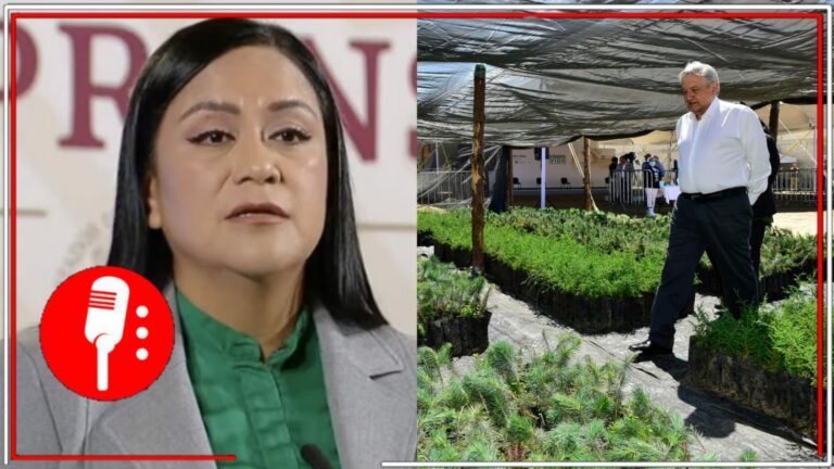 Sembrando Vida revierte daños al medio ambiente y al tejido social: Ariadna Montiel informó que se han cultivado más de 1 mil 488 millones de plantas y árboles