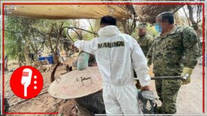 Elementos de la Marina localizan y destruyen en Sonora el mega laboratorio más grande en lo que va del sexenio; el combate de la 4T a las drogas ha generado pérdidas de 700 MDD a la delincuencia