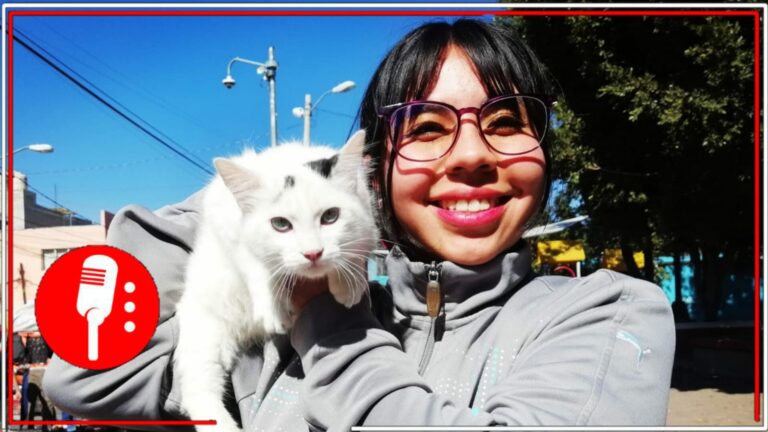 En Tláhuac se vela por los derechos de los animales: Berenice Hernández redobla esfuerzos y lanza fuerte cruzada de esterilizaciones de perros y gatos (FOTOS)