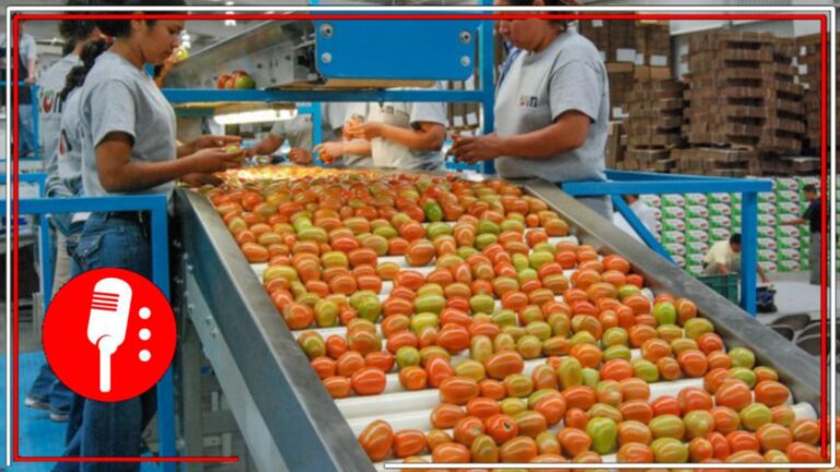México rompe récord en exportaciones agroalimentarias en 2023; superan los 51 mil mdd