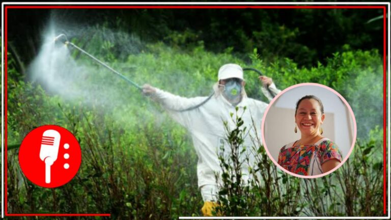 María Luisa Albores anuncia que México quedará libre de glifosato a partir del 31 de marzo