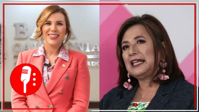 La derecha detesta al pueblo: Marina del Pilar exige respeto a Xóchitl Gálvez y exhibe la ignorancia geográfica de la panista, tras los comentarios “irrespetuosos” al llamar a Tijuana fea