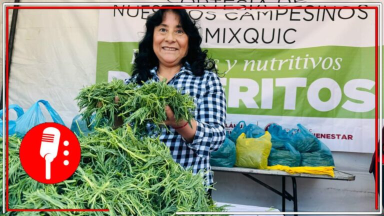 Un manjar con tradición para esta cuaresma: Los romeritos son un platillo emblemático de los 7 pueblos originarios de Tláhuac; San Andrés Mixquic es el mayor productor del país