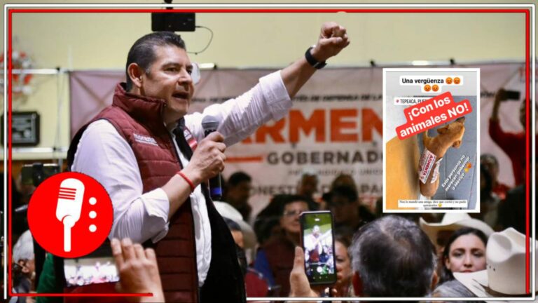 “Solo muestra su miseria humana”: Alejandro Armenta condenó el maltrato a un perro como parte de una campaña negra y de desprestigio del PRIAN en su contra