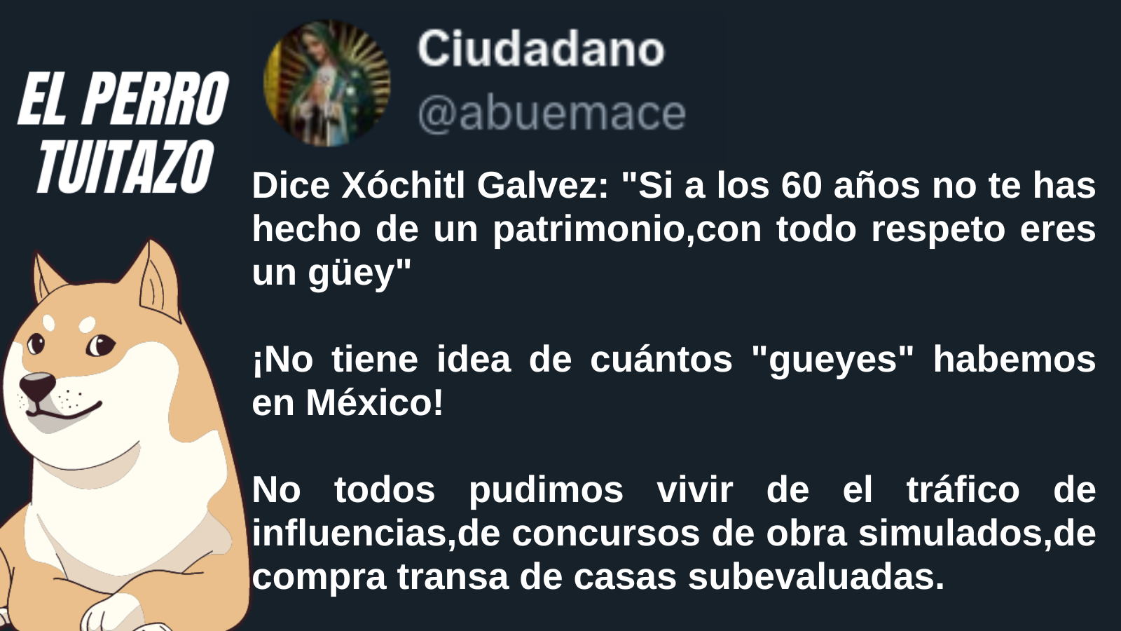 El Perro Tuitazo