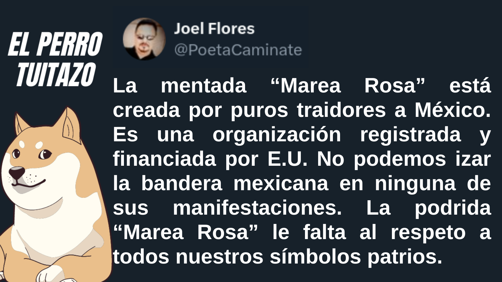 El Perro Tuitazo
