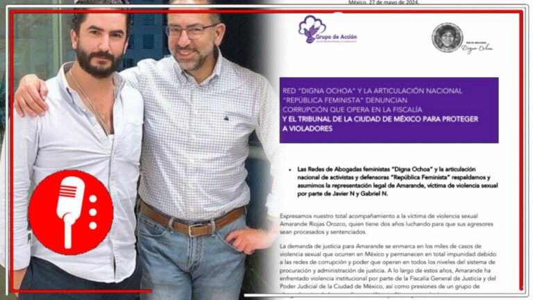 Red &#8220;Digna Ochoa&#8221; y la articulación nacional &#8220;República Feminista&#8221; denuncian corrupción del Poder Judicial de la CDMX y de grupos de abogados para proteger al presunto abusador, Javier Lozano Ponzanelli, hijo de Lozano Alarcón