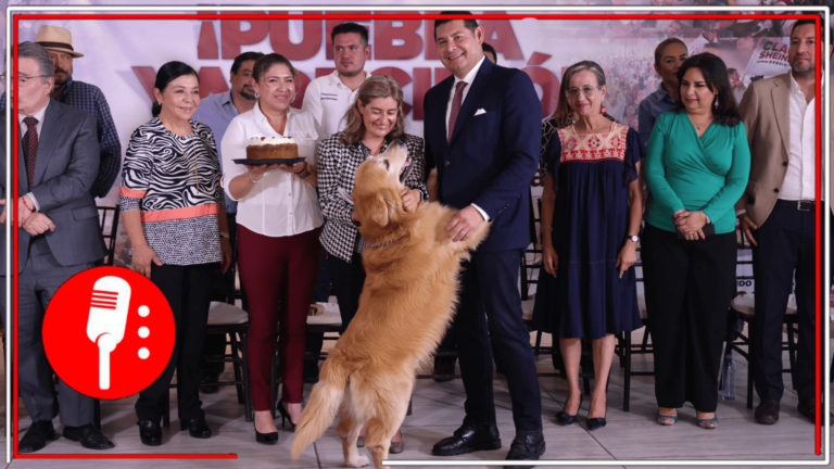 La 4T comprometida con los seres sintientes: Alejandro Armenta se compromete a la protección animal y del medio ambiente de la mano de Claudia Sheinbaum