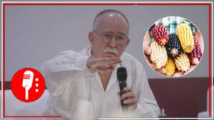 La 4T defiende la riqueza cultural de México: Julio Berdegué Sacristán sostuvo que la Presidenta electa, Claudia Sheinbaum, continuará con la política de no permitir el cultivo del maíz transgénico en el país (VIDEO)