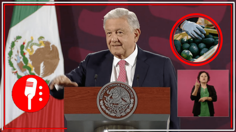 El día de hoy se resolverá el tema de la exportación de aguacate y mango: AMLO anuncia que, gracias a la colaboración entre el gobierno mexicano y el de Estados Unidos, el problema se solucionó de manera favorable para ambos países