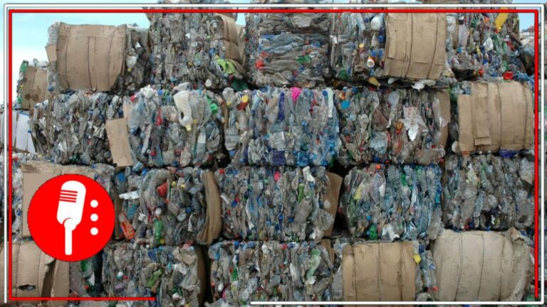 Un gran plan para cuidar el medio ambiente: La industria del reciclaje ya recupera el 63% del PET enviado al mercado y genera 70 mil empleos directos e indirectos