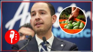 Para la derecha la política es un negocio: Marko Cortés, líder del PAN, tiene dos ranchos de aguacate que suman 70 hectáreas, con certificación de la Senasica y con concesiones de agua en Jalisco