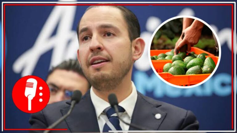Para la derecha la política es un negocio: Marko Cortés, líder del PAN, tiene dos ranchos de aguacate que suman 70 hectáreas, con certificación de la Senasica y con concesiones de agua en Jalisco