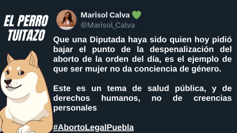 El Perro Tuitazo
