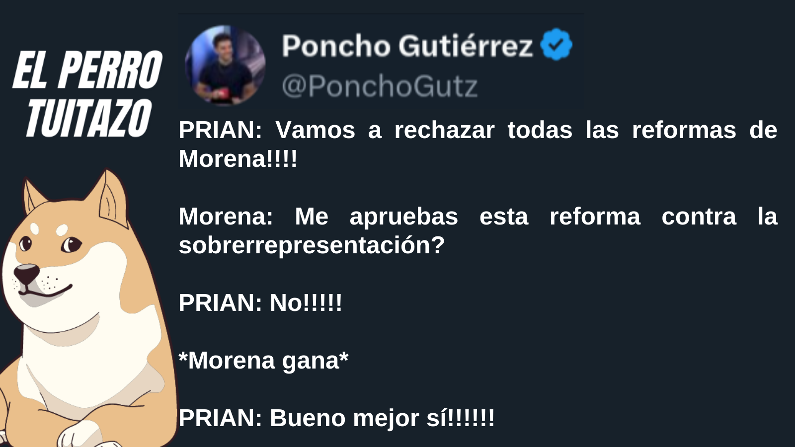 El Perro Tuitazo
