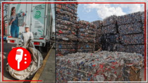 México, un país cada vez más sustentable: World Economic Forum y la firma de asesoría KPMG destacan a ECOCE por su éxito en el reciclaje de plásticos en nuestro país