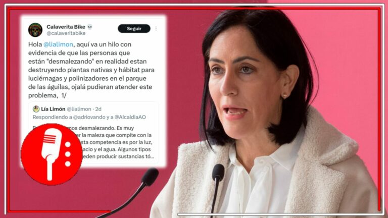 Los panistas no pueden hacer nada bien: Denuncian que Lía Limón presume la remoción de maleza en el Parque de las Águilas, pero en realidad está arrasando con plantas nativas que son el hábitat de las luciérnagas y otros polinizadores