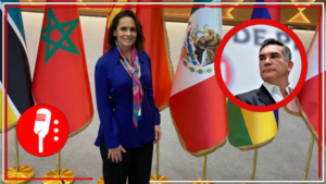 Quién podrá salvar a los priístas de la dictadura de &#8220;Alito&#8221; Moreno: Sofía Carvajal anuncia observadores internacionales para supervisar la elección interna