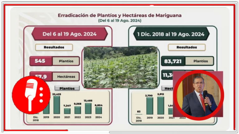 Con AMLO, los homicidios disminuyeron 18%, mientras aseguramientos de drogas y laboratorios aumentaron, afectando al crimen organizado