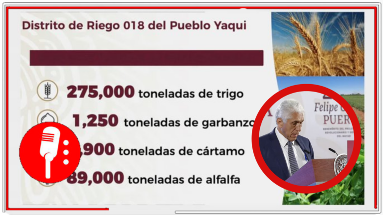 La 4T impulsa la agricultura en México con nuevos distritos de riego que beneficiarán 120 mil hectáreas rurales