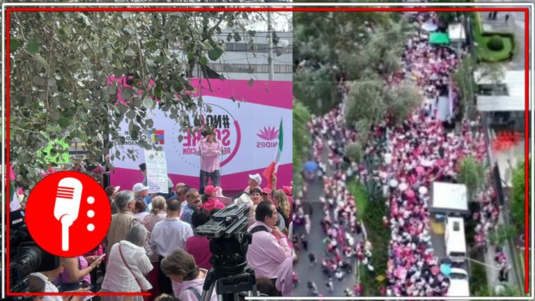 Un rotundo fracaso la movilización de la Marea Rosa: Un reducido grupo de conservadores se concentraron afuera del INE en contra de mayoría calificada de Morena y sus aliados en el Congreso de la Unión (VIDEO)