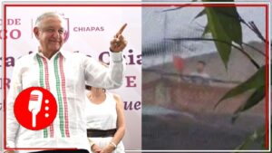 Captan a niño realizando el Grito de Independencia con el discurso del presidente López Obrador (VIDEO)