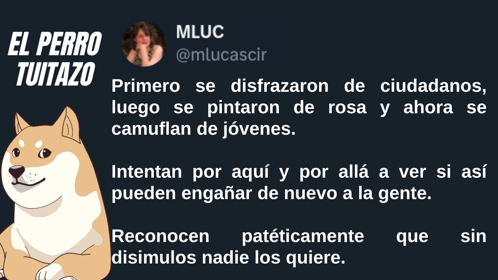 El Perro Tuitazo