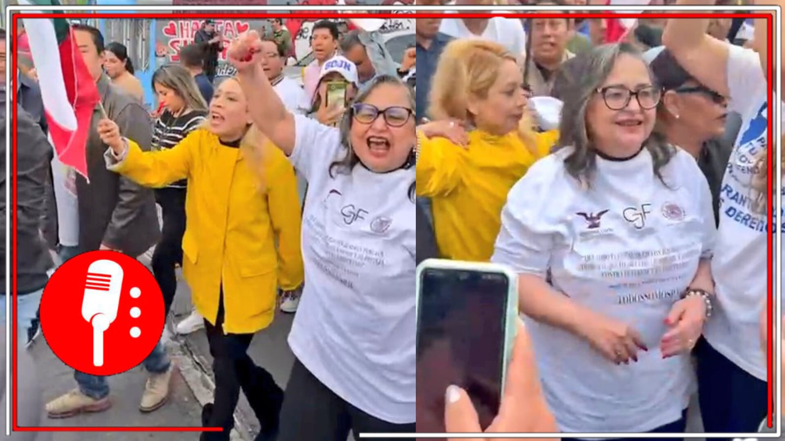 Norma Piña, presidenta de la SCJN, se suma a las protestas contra la Reforma al Poder Judicial (VIDEO)