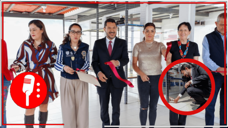 Inauguran “Michigan”, nuevo albergue para gatos y espacio de fauna silvestre en la Brigada de Vigilancia Animal