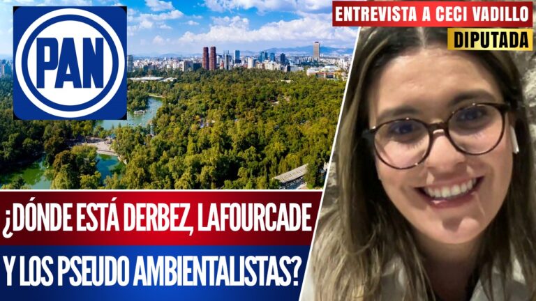 #Entrevista | Diputada Ceci Vadillo: El PAN y el Poder Judicial buscan privatizar la tercera sección de Chapultepec para construir departamentos de lujo