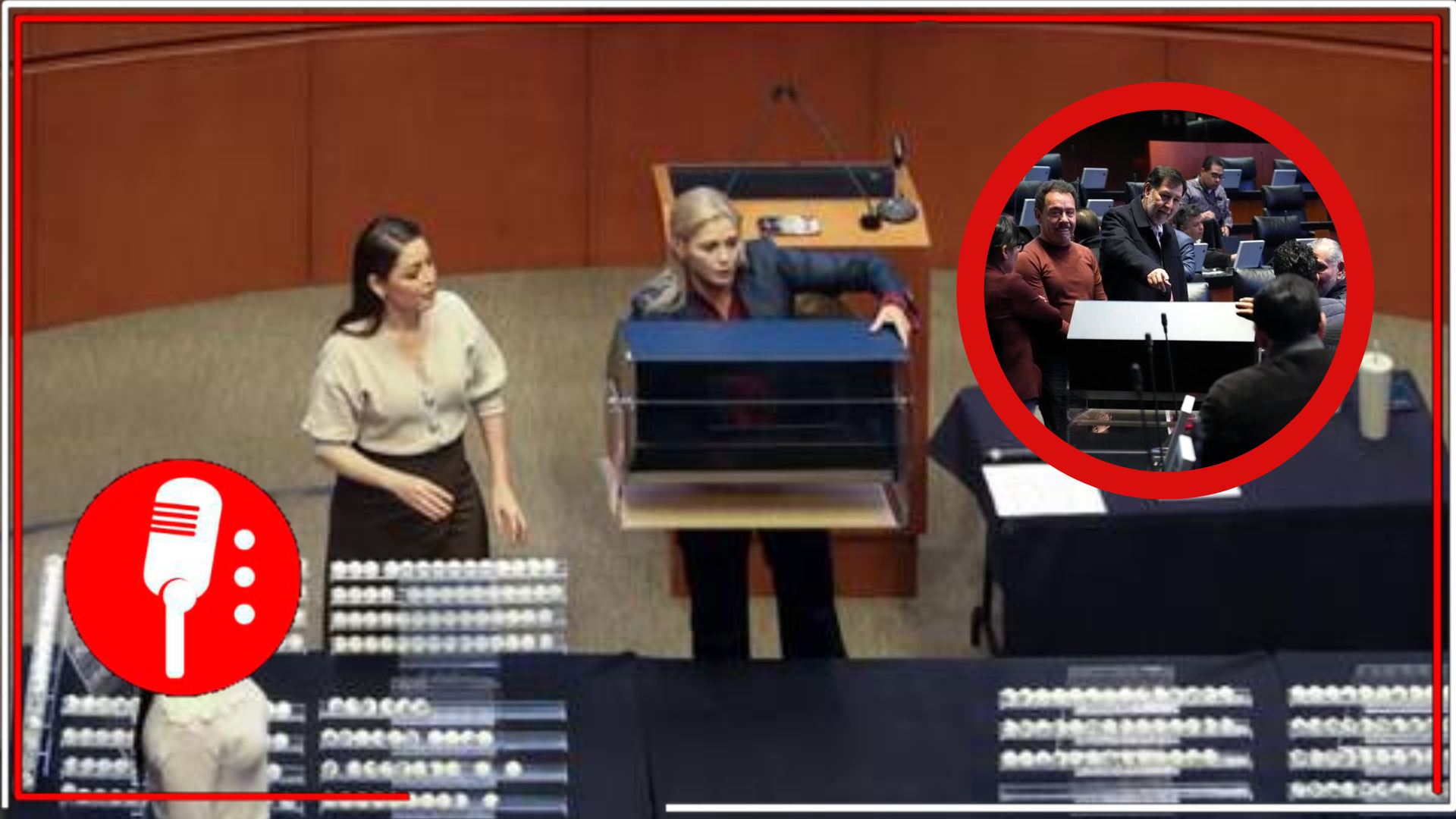 El Senado aprueba la lista de los cargos que participarán en la elección histórica en 2025
