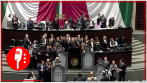 Annia Gómez hace show en el Congreso y acusa a Morena de “matar” la Constitución en polémica intervención