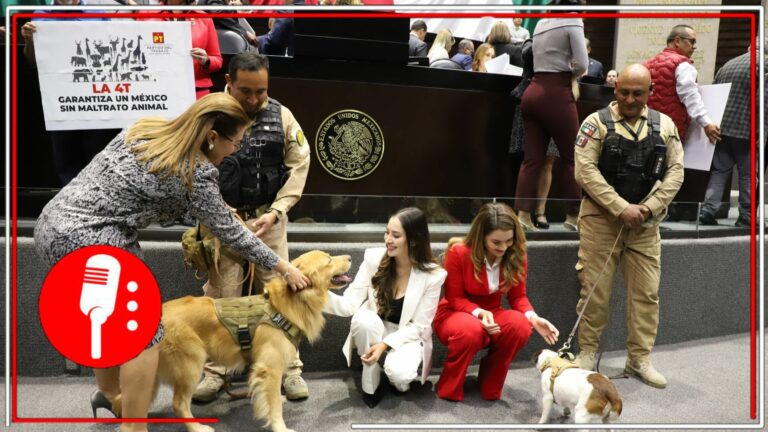 Cámara de Diputados aprueban reformas para la protección de animales
