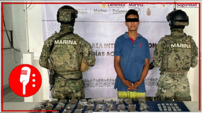 Detenciones, erradicación de plantíos y combate al huachicol: Seguridad Pública, Defensa y Marina informan acciones recientes