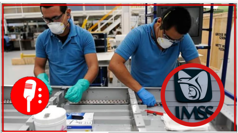 Zoé Robledo informa que el empleo en México ha alcanzado una cifra histórica con más de 22 millones de plazas