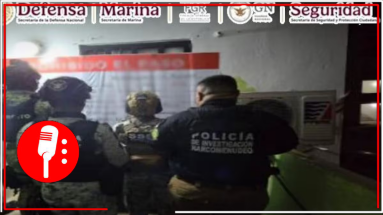 Cateos en Quintana Roo: Detienen a 11 personas y aseguran drogas, armas y dinero en tres operativos