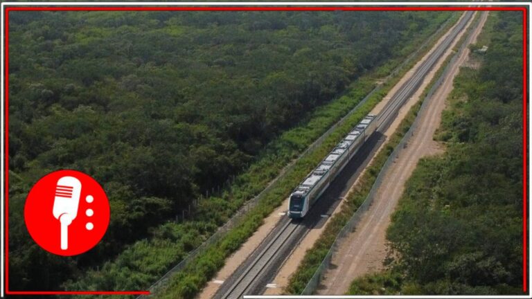 Resguardarán la riqueza biodiversa en torno al Tren Maya; fauna no tendrá que ser reubicada