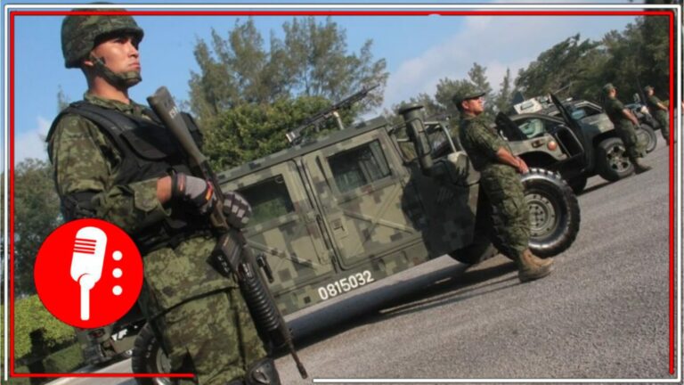 El Gobierno de México no da tregua a los criminales y realizan cateos, detenciones, aseguramientos de drogas y armas