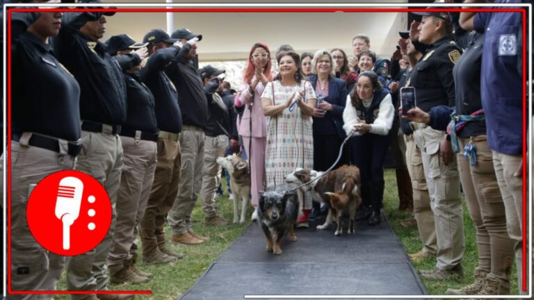 Una capital que procura a todo ser vivo: Presenta Clara Brugada el Plan Integral de Bienestar Animal en la Ciudad de México