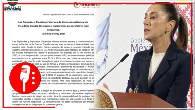 Diputados y diputadas de Morena cierran filas con la propuesta de la Presidenta Sheinbaum de prohibir el maíz transgénico