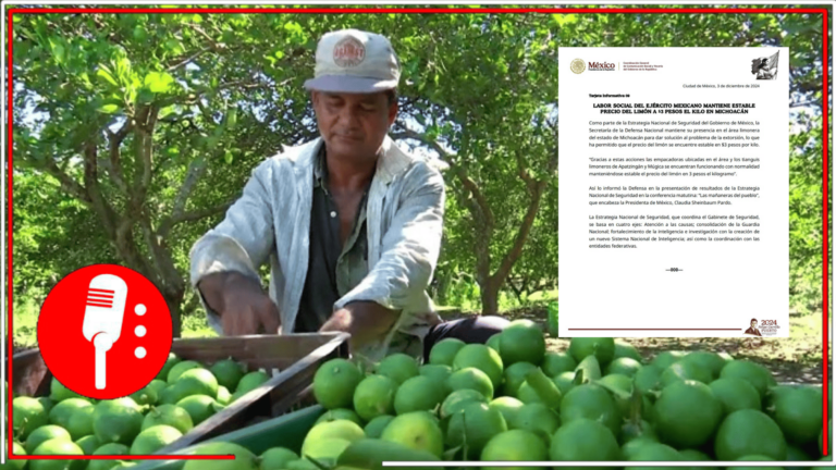 Ejército Mexicano garantiza precio estable del limón en Michoacán a $3 pesos por kilo