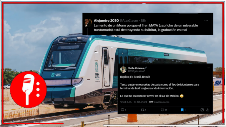 Desmienten video de mono “lamentándose” por el Tren Maya: las imágenes son de Brasil