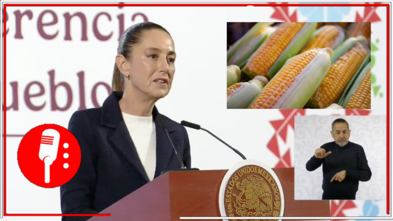 Sheinbaum resalta la importancia cultural y genética del maíz en México y confía en que el Congreso votará a favor de la soberanía alimentaria del país