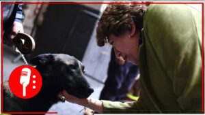 Gobernadora Delfina Gómez entrega 18 toneladas de alimento para seres sintientes del EdoMex