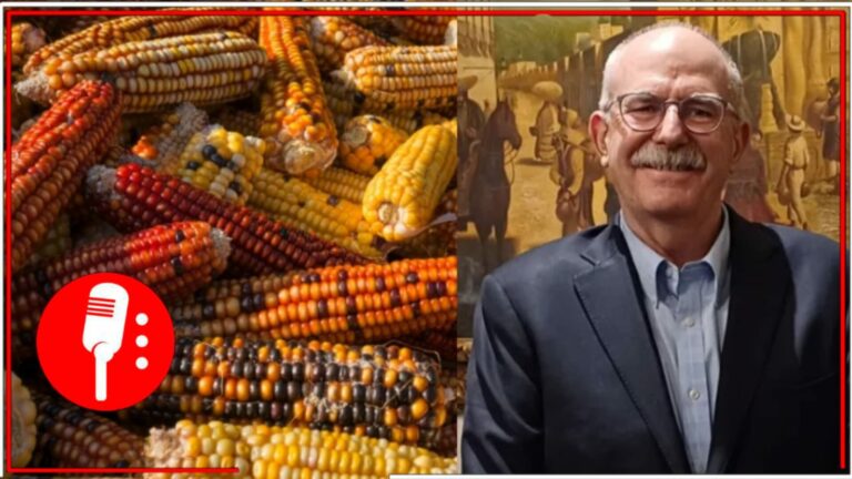 Julio Berdegué Sacristán, secretario de Agricultura y Desarrollo Rural, advierte que continuará defensa de semillas nativas contra el maíz transgénico