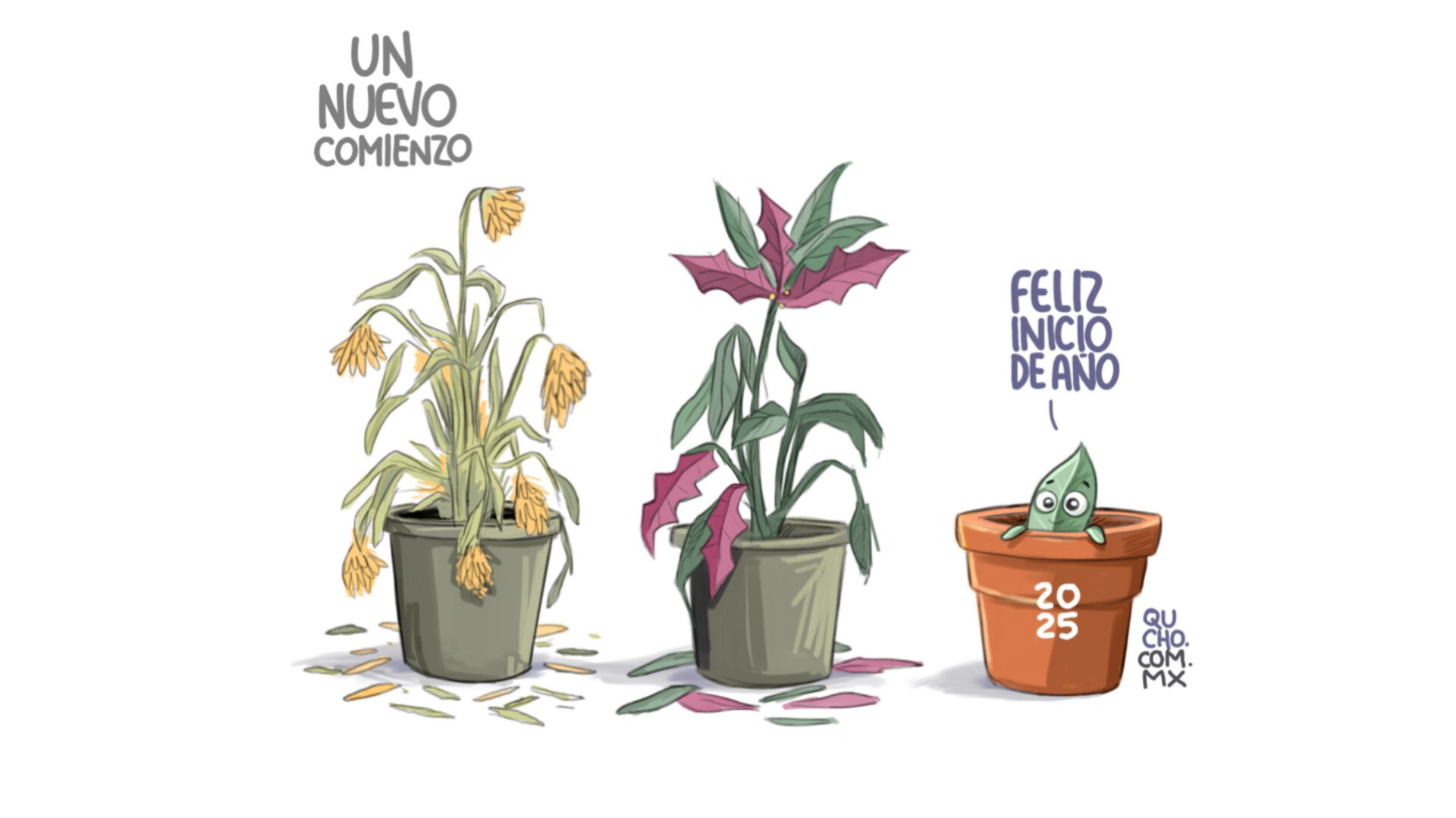El Mejor Cartón del Día