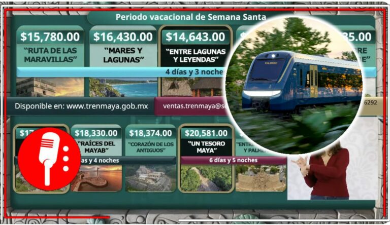 A poco más de un año, el Tren Maya ha transportado a más de 784 mil pasajeros