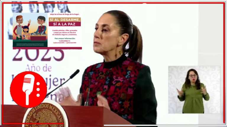 Camapaña “Sí al desarme, sí a la paz” se pondrá en marcha el 10 de enero en la Basílica de Guadalupe